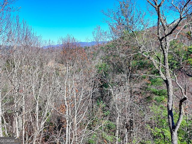46 Clare Lane, Rabun Gap, GA 30568