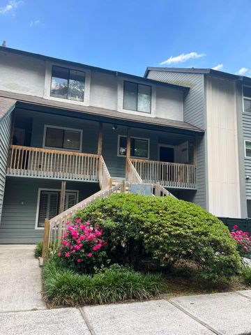 1161 Shadow Lake Circle E, Mount Pleasant, SC 29464