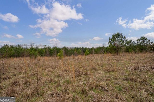 TRACT 1-A High Shoals Road, Bishop, GA 30621