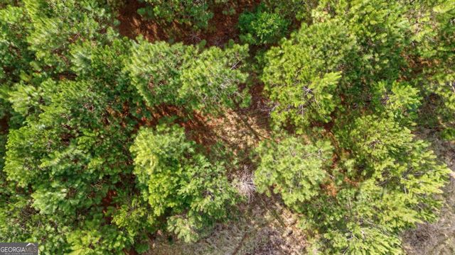 TRACT 1-A High Shoals Road, Bishop, GA 30621