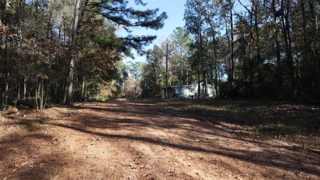 0 Pin Tail, Coldspring, TX 77331