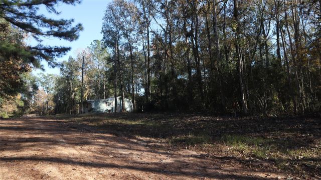 0 Pin Tail, Coldspring, TX 77331