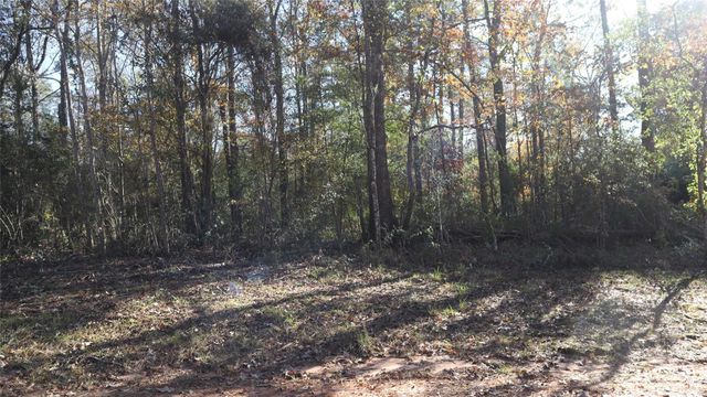 0 Pin Tail, Coldspring, TX 77331