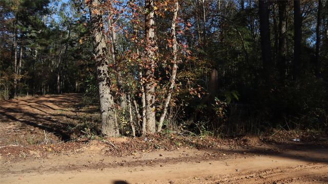 0 Pin Tail, Coldspring, TX 77331