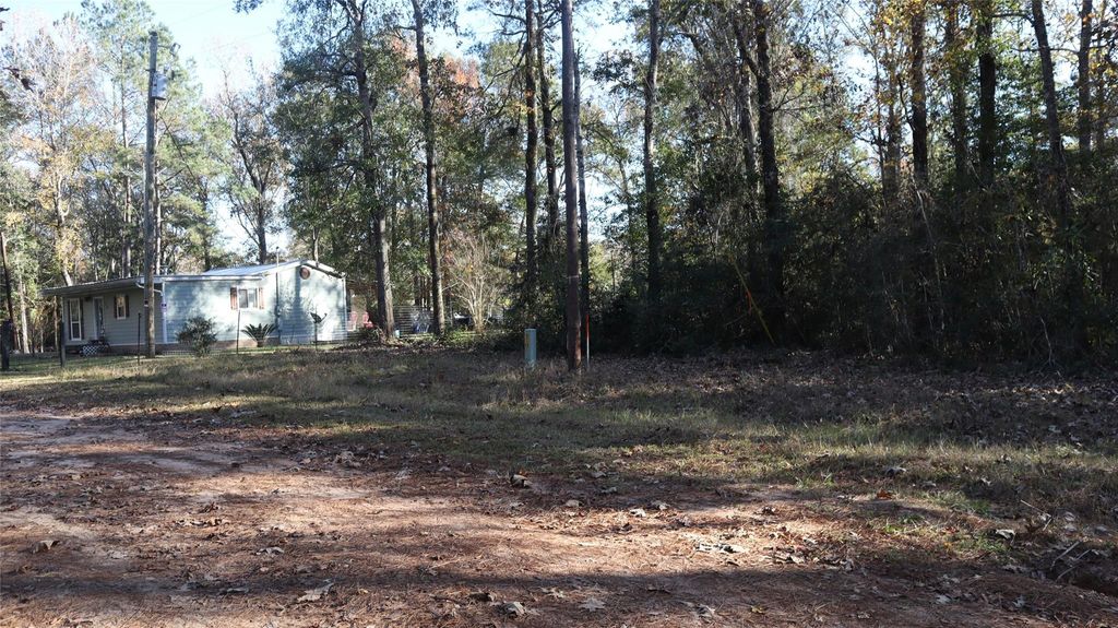 0 Pin Tail, Coldspring, TX 77331