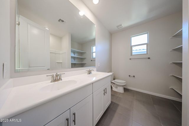 40666 W CRANE Drive, Maricopa, AZ 85138