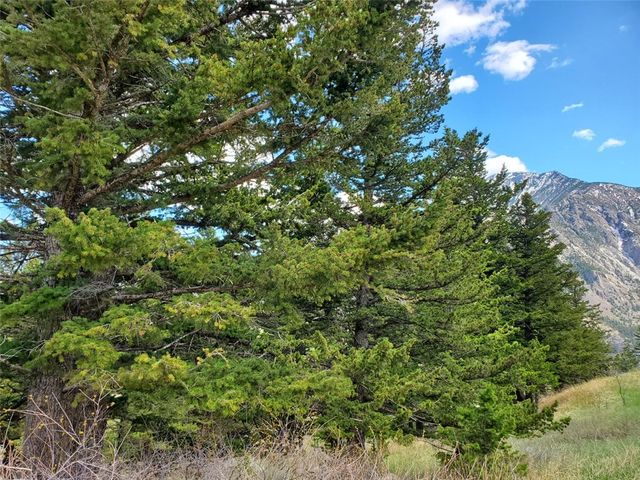 Lot 116 Forest Trail, Nye, MT 59061 property photo