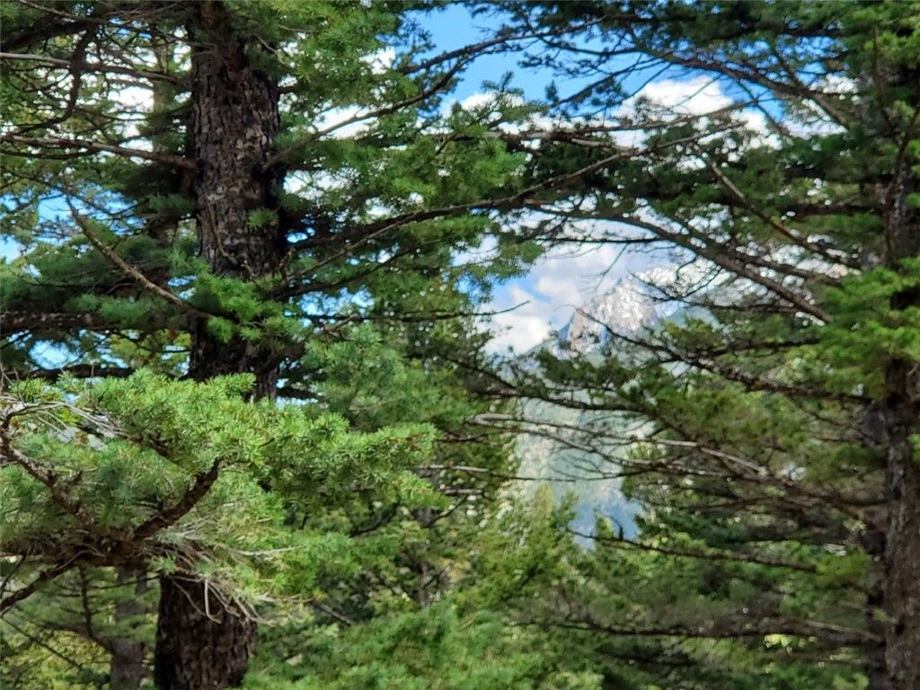 Lot 116 Forest Trail, Nye, MT 59061 photo 2