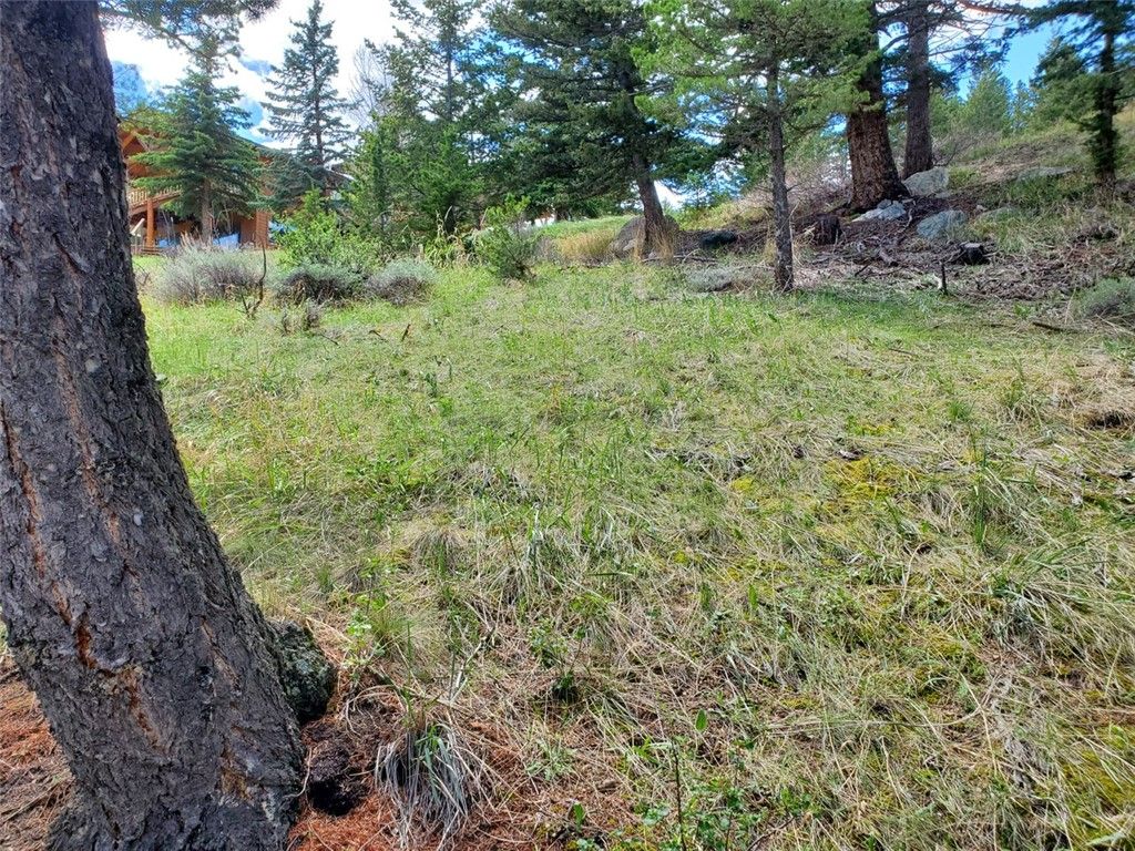 Lot 116 Forest Trail, Nye, MT 59061 photo 3