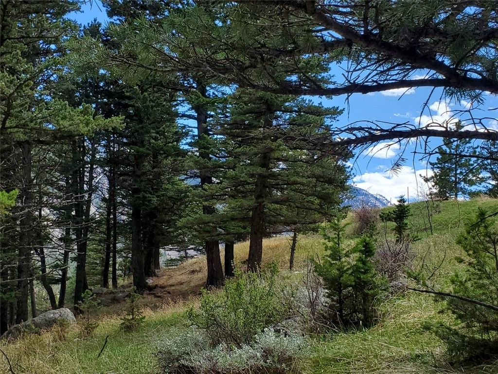 Lot 116 Forest Trail, Nye, MT 59061 photo 4