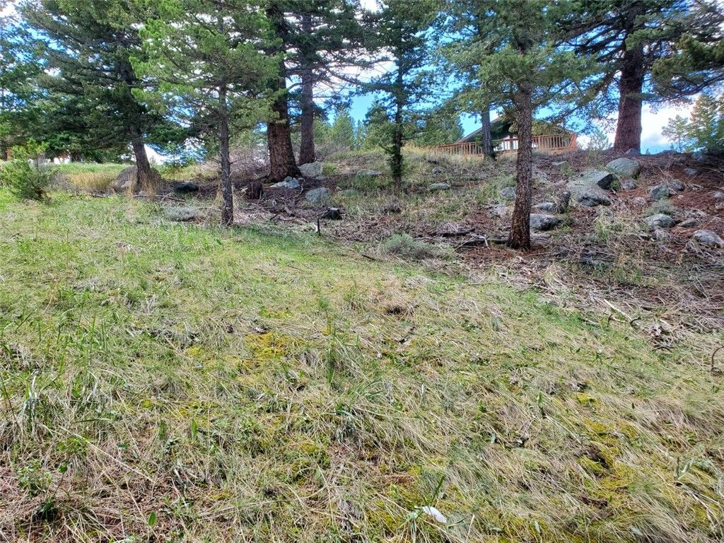 Lot 116 Forest Trail, Nye, MT 59061 photo 5