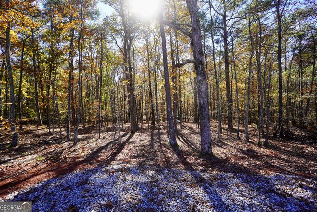 0 Highway 16 E, Monticello, GA 31064