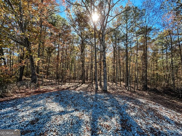 0 Highway 16 E, Monticello, GA 31064