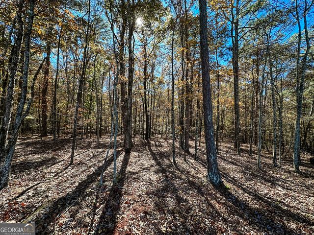 0 Highway 16 E, Monticello, GA 31064