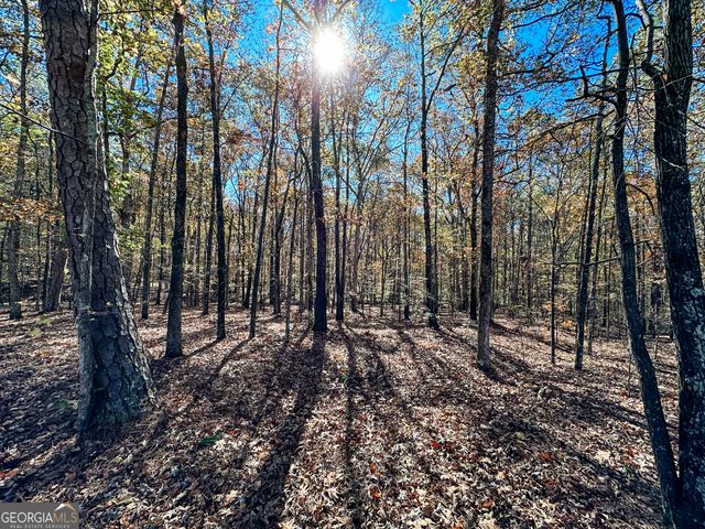 0 Highway 16 E, Monticello, GA 31064