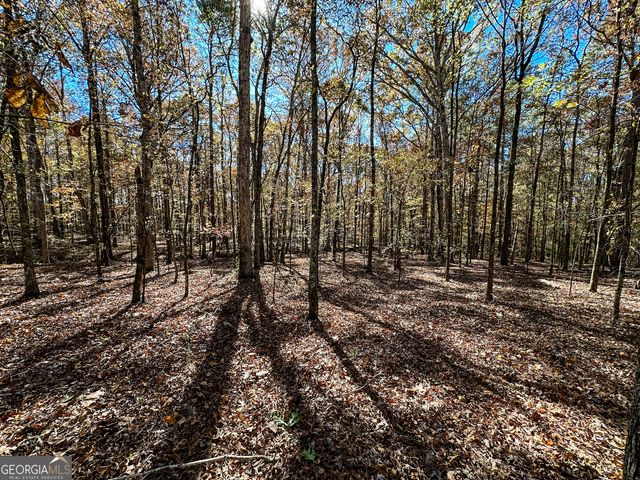 0 Highway 16 E, Monticello, GA 31064