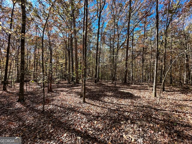 0 Highway 16 E, Monticello, GA 31064