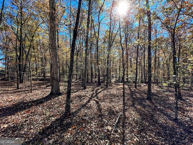 0 Highway 16 E, Monticello, GA 31064