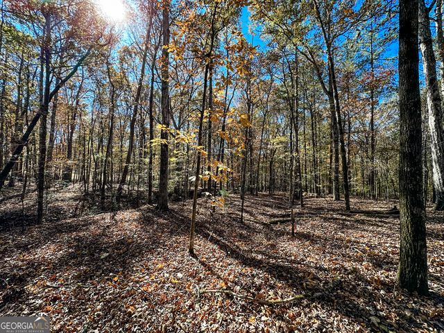 0 Highway 16 E, Monticello, GA 31064