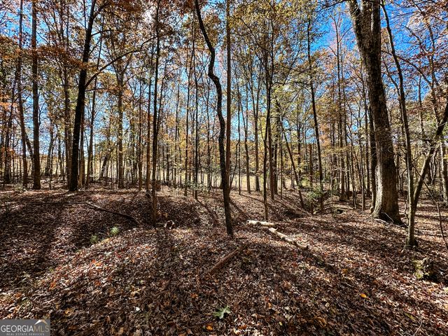 0 Highway 16 E, Monticello, GA 31064