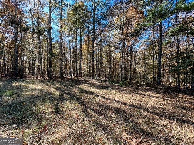 0 Highway 16 E, Monticello, GA 31064