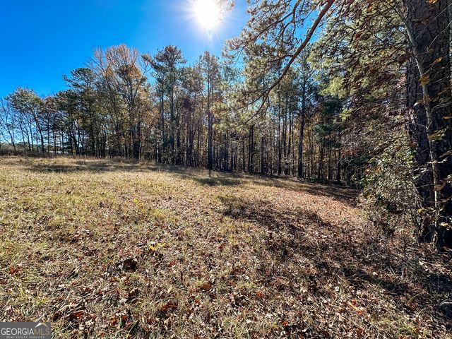 0 Highway 16 E, Monticello, GA 31064