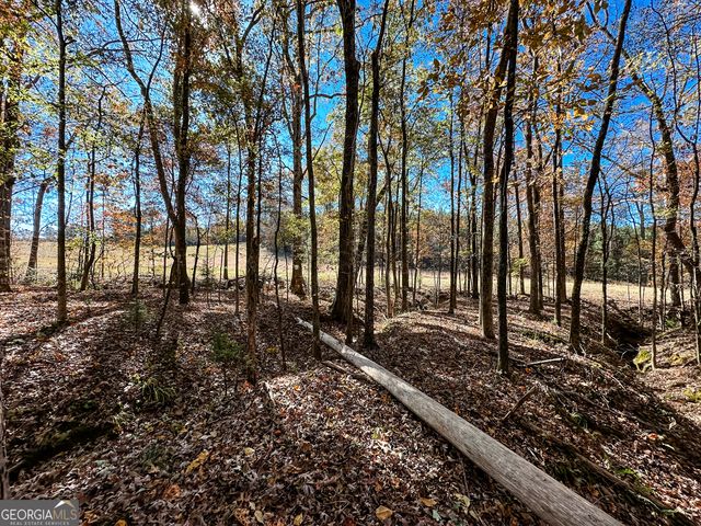 0 Highway 16 E, Monticello, GA 31064