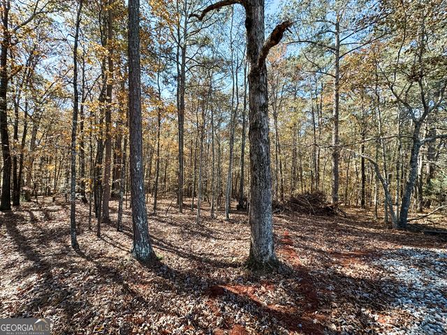 0 Highway 16 E, Monticello, GA 31064