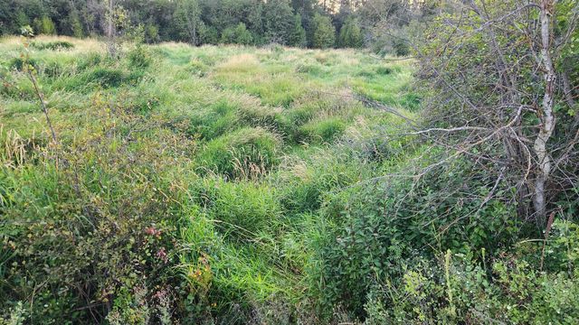 0 W Enoch Rd, Deer Park, WA 99006