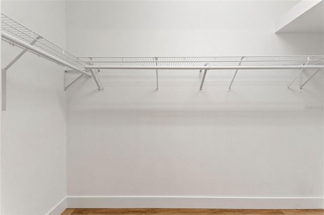 8623 SNOWY OWL WAY, Tampa, FL 33647