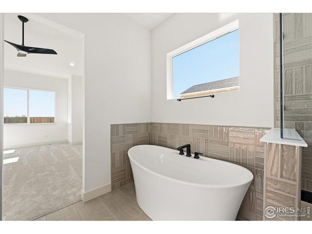 823 Clydesdale Dr, Windsor, CO 80550