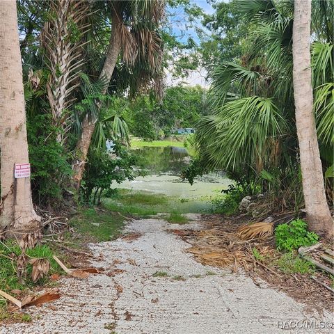 609 S Redbud Terrace, Inverness, FL 34450