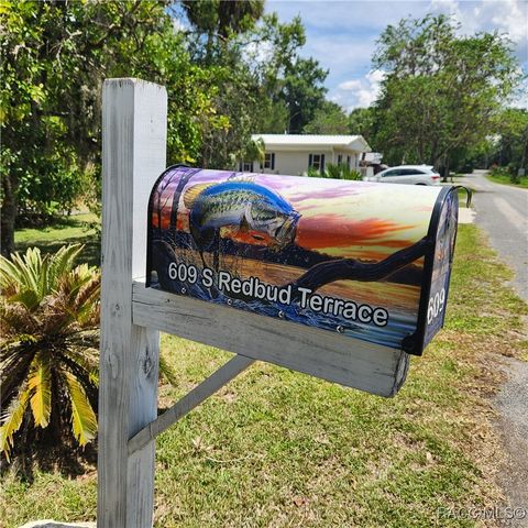 609 S Redbud Terrace, Inverness, FL 34450