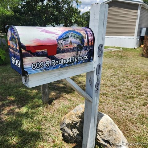 609 S Redbud Terrace, Inverness, FL 34450