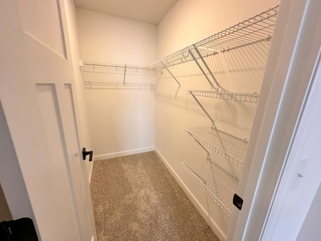 5277 Long Pointe Pass, Woodbury, MN 55129