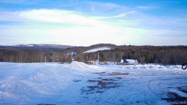 6 Rock View Lane, Loch Sheldrake, NY 12759