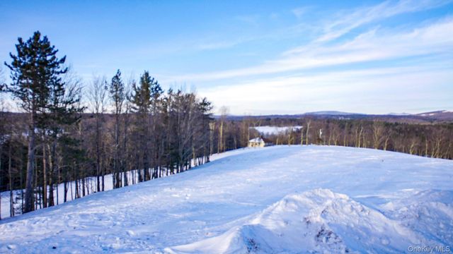 6 Rock View Lane, Loch Sheldrake, NY 12759