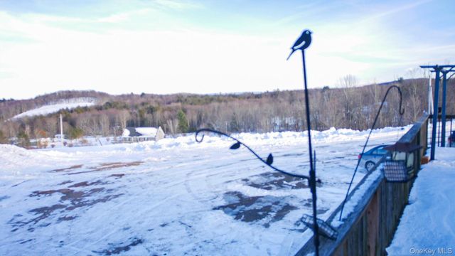 6 Rock View Lane, Loch Sheldrake, NY 12759