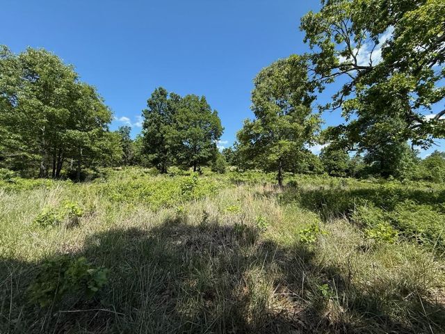 10346 Highway 289, Mammoth Spring, AR 72554