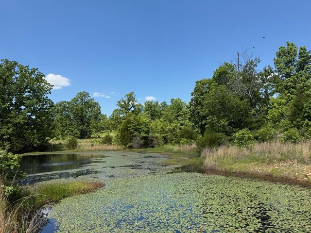10346 Highway 289, Mammoth Spring, AR 72554