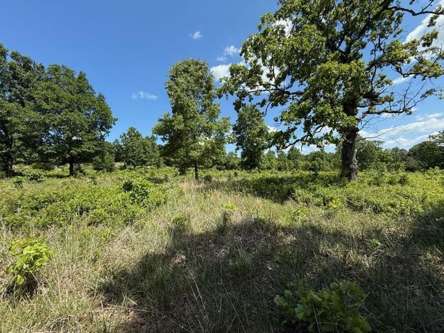 10346 Highway 289, Mammoth Spring, AR 72554