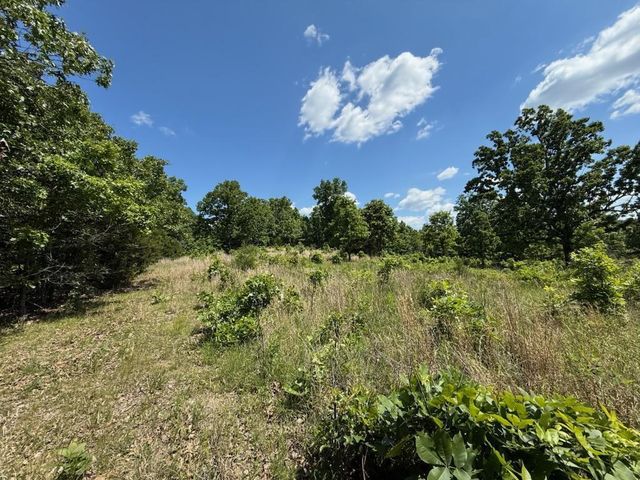 10346 Highway 289, Mammoth Spring, AR 72554
