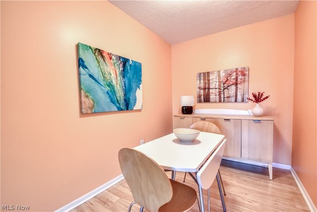 1 Meadowlawn Drive 12, Mentor, OH 44060