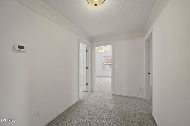 295 Southridge Drive, Blountville, TN 37617