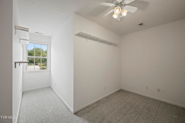 295 Southridge Drive, Blountville, TN 37617