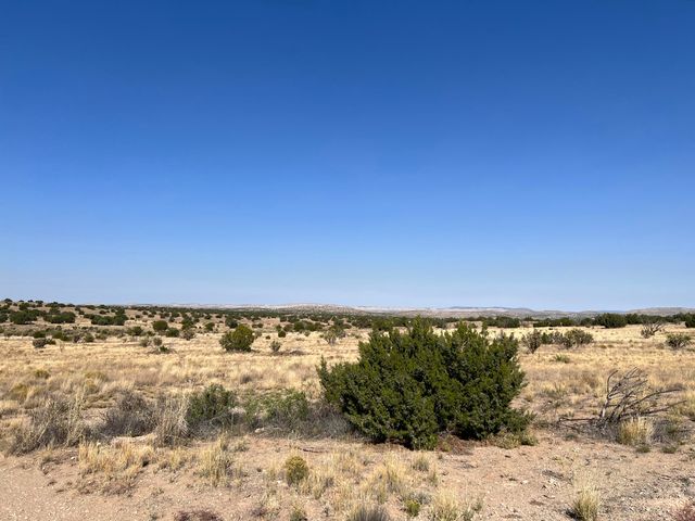 Lot 3904 Blk 1 Valle De Manana, Socorro, NM 87801