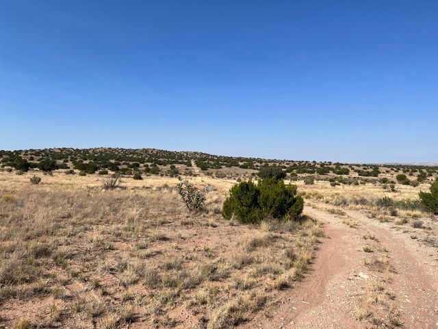 Lot 3904 Blk 1 Valle De Manana, Socorro, NM 87801