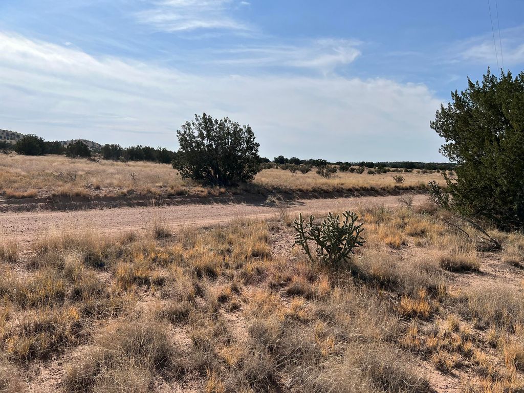Lot 3904 Blk 1 Valle De Manana, Socorro, NM 87801