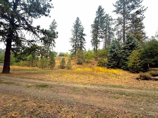 TBD HWY 12 T426, T405, Kamiah, ID 83536