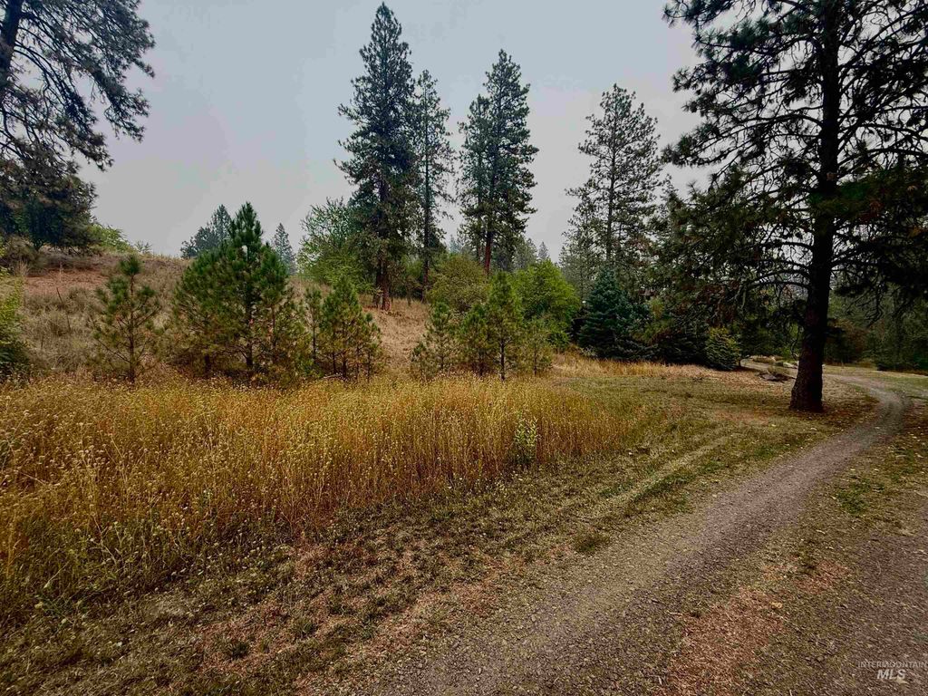 TBD HWY 12 T426, T405, Kamiah, ID 83536 photo 13
